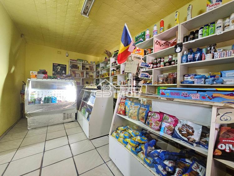 Spațiu, liniște și posibilități multiple într-o singură proprietate! - 11