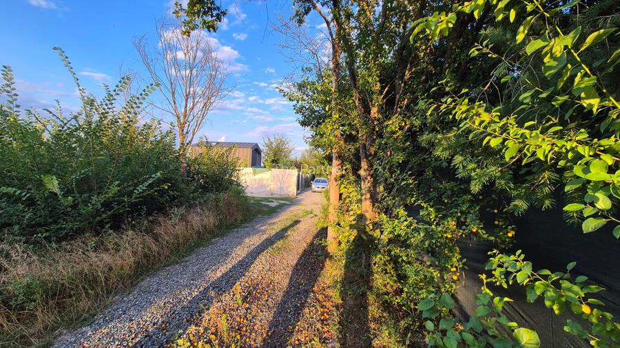 TEREN INTRAVILAN DE VANZARE - BALOTESTI - 14
