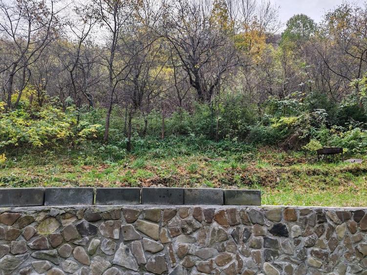 Casa 4 camere libera la vanzare zona Schei