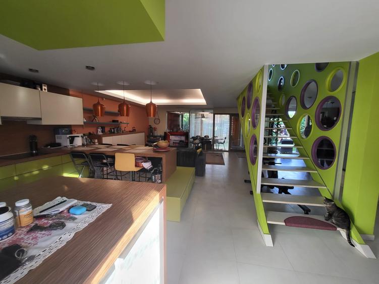 CASA P+1 ÎN BALOȚEȘTI – LÂNGĂ PĂDURE, TEREN 700 MP, LIVADĂ, CRAMĂ, BECI ȘI CURTE