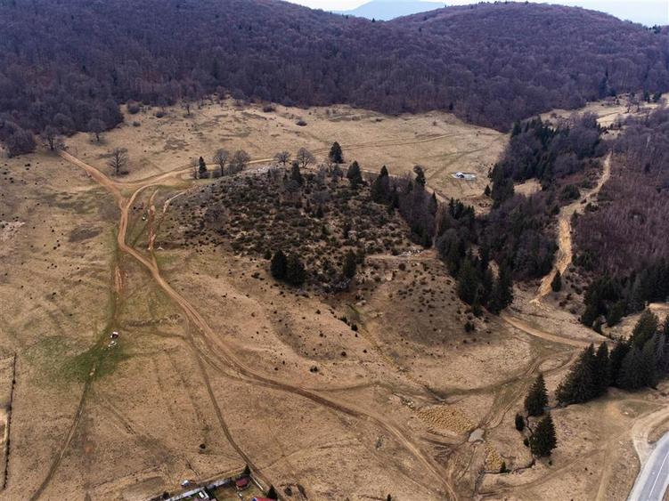 Teren Intravilan 6500 MP- Valea Poienii Aviatorilor ,Aproape de Poiana Brasov si