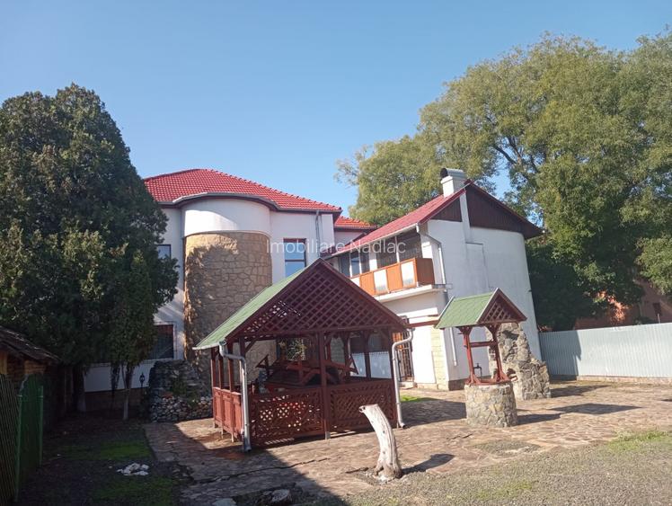 ViLA de LUX  cu un DESIGN deosebit in centrul orasului Nadlac - 2