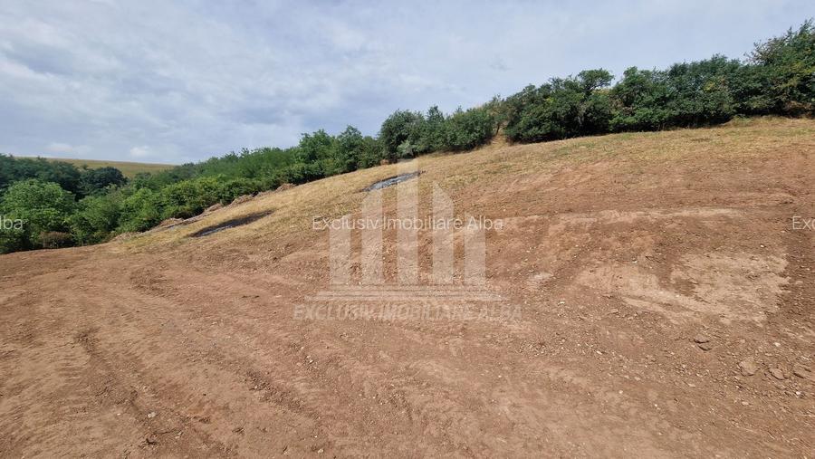 Teren intravilan | 2000 mp | Toate utilitatile | Micesti-Sard - 3