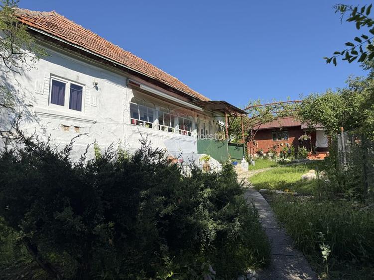 Casă de vânzare in natura la tara - Mihaesti - 28
