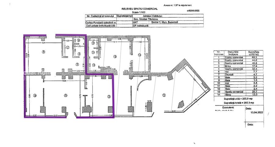 Spatiu Comercial | Central | Banu Manta | Nicolae Titulescu - 1