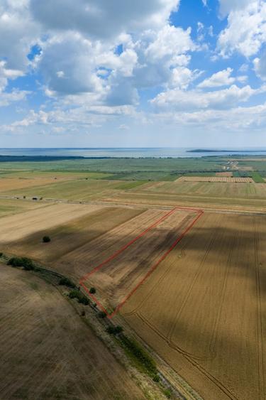 Vând teren agricol la șosea de 30.000mp în Iazurile comuna Valea Nucarilor