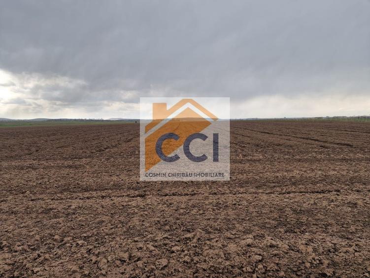 Teren 10,000mp Bacau / Strada Alexandru Safran