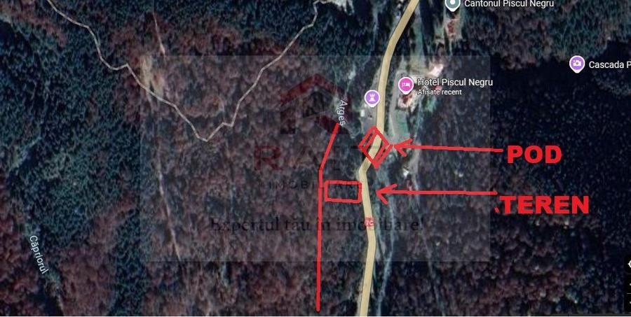 Teren extravilan tip pădure de vânzare 500 mp Arefu Transfăgărășan