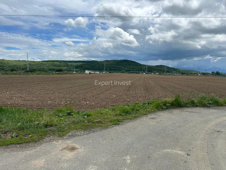 Teren extravilan 3.240 mp la strada * intre Selimbar si Bungard - 2