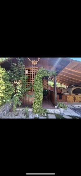 Proprietar- Plopii fara sot