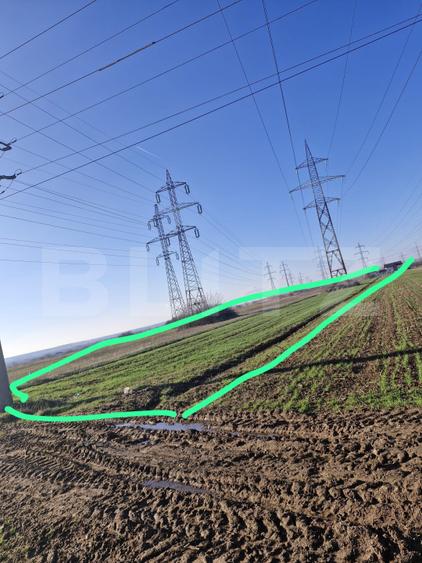 Teren extravilan 5.000 mp | Deschidere 15,79 m | Acces DN7 | Utilități la limită