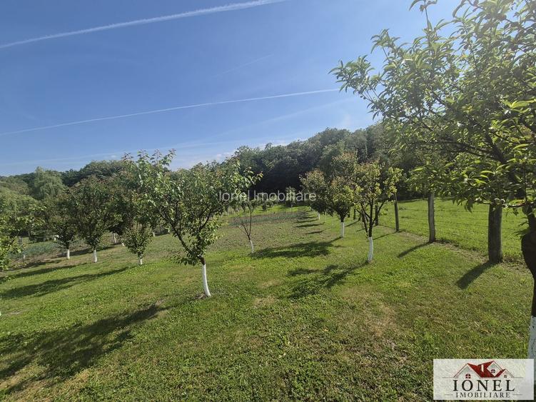 Teren intravilan (2292mp) de vanzare in Vintu de Jos - 3