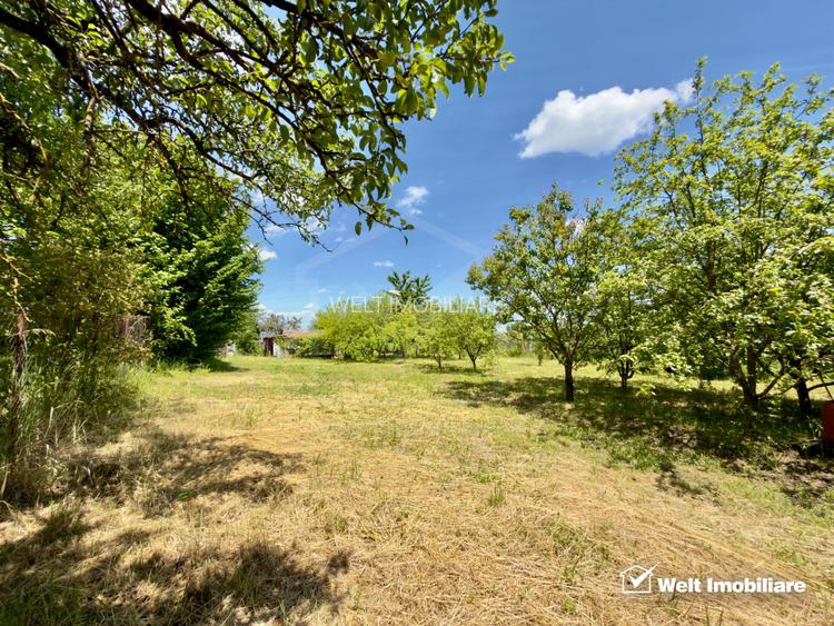 Teren intravilan de 1.051 mp în Becas, zona Livezii (Str. Nordului) - 8