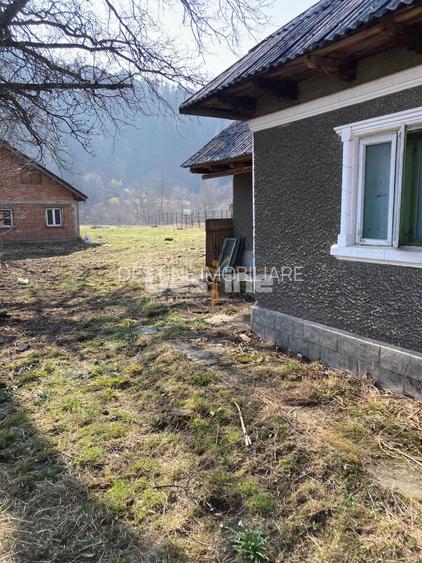 Casa cu teren Negulesti 3400mp - 3
