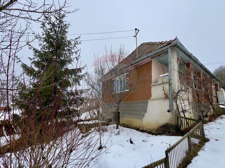 Casa cu 2 camere si teren 4887mp de vanzare in Dabaca