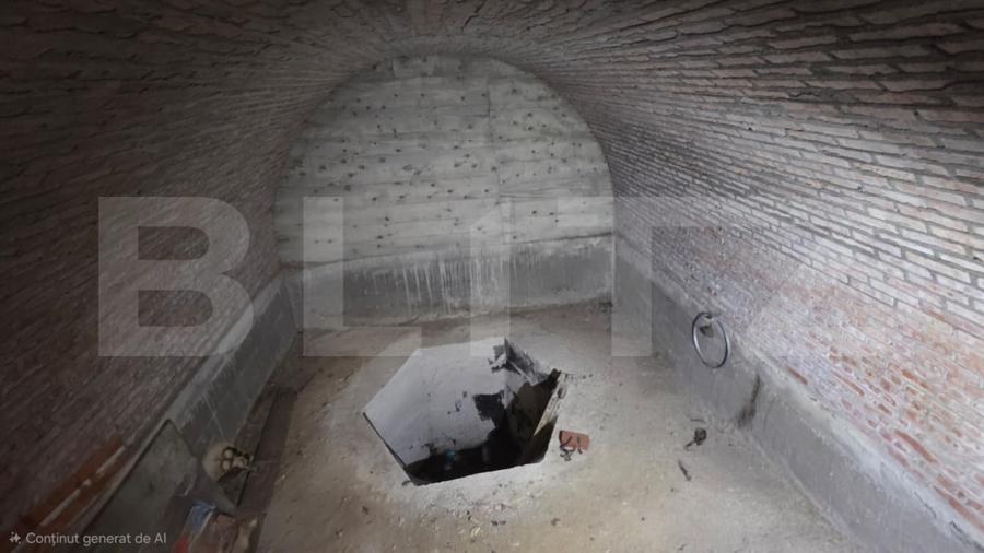 Casă de vânzare, 271 mp, zona Oiejdea