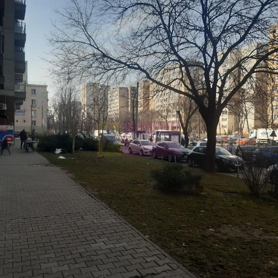 Spatiu Comercial Stradal Șoseaua Colentina zona Teiul Doamnei Suveica - 54