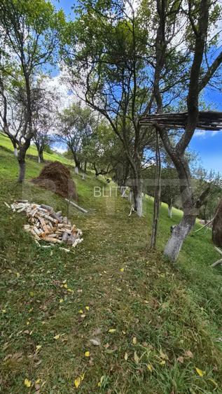 Casa 3 camere, 55 mp, teren 23.000 mp, zona pitoreasca-Poiana Marului - 12