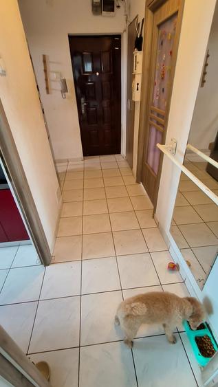 Brancoveanu -  Apartament 2 camere Mobilat Utilat