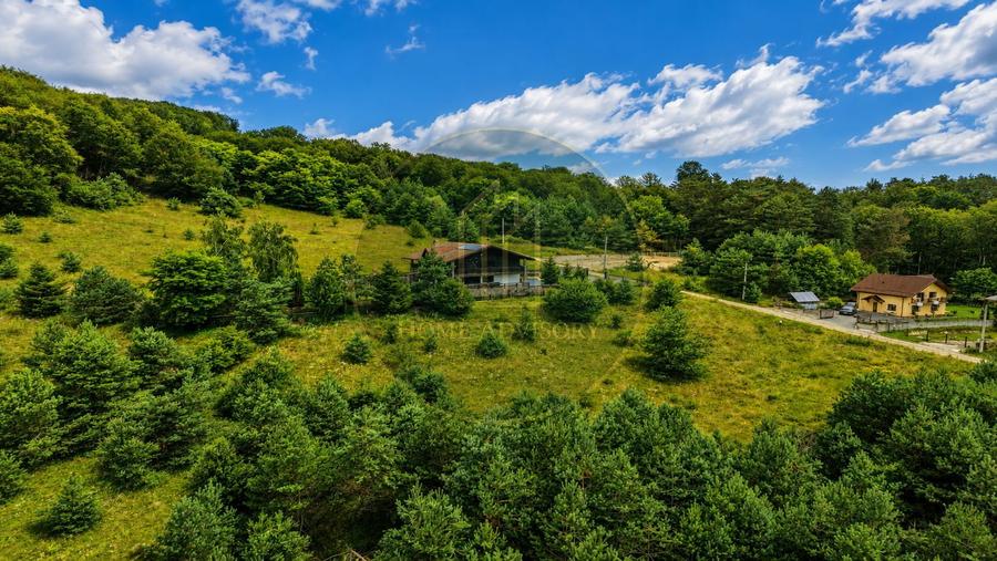 Refugiu în inima naturii | Proprietate premium în Pădurea Bogății