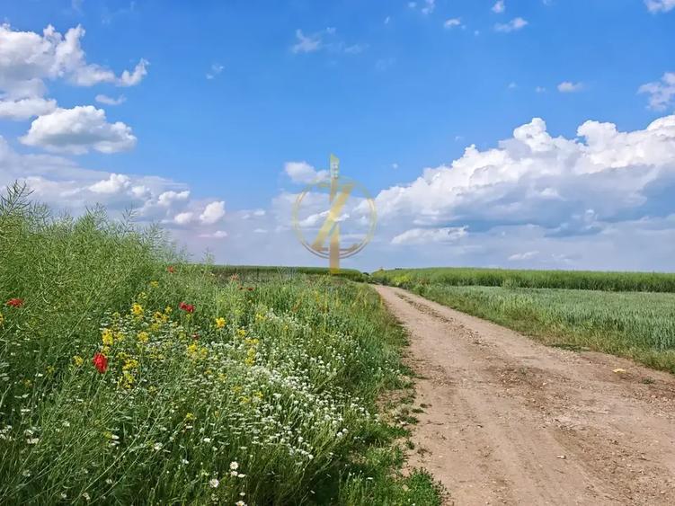 Teren intravilan | Giarmata | str Pomiculturii