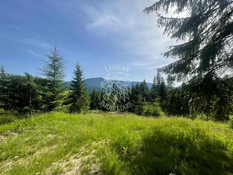 Teren intravilan 1074 mp cu utilitati-ideal pensiune, cabane-Colibita