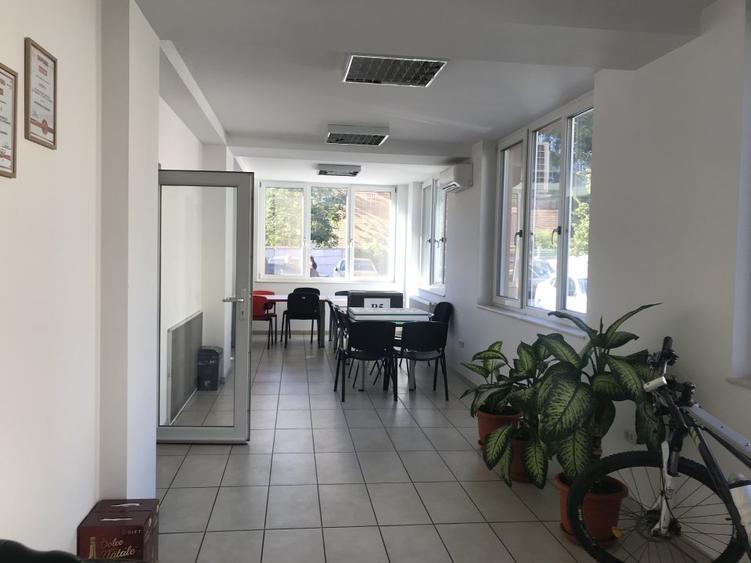 De inchiriat vila zona Take Ionescu,ISHO