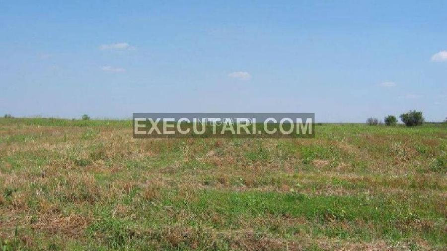 Teren extravilan -  60.000 m² - Sat Chirculesti - 4