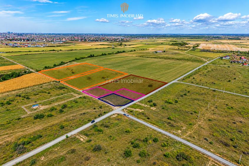 Terenuri 620–767 mp, CF individual – Moșnița Nouă | 0% comision