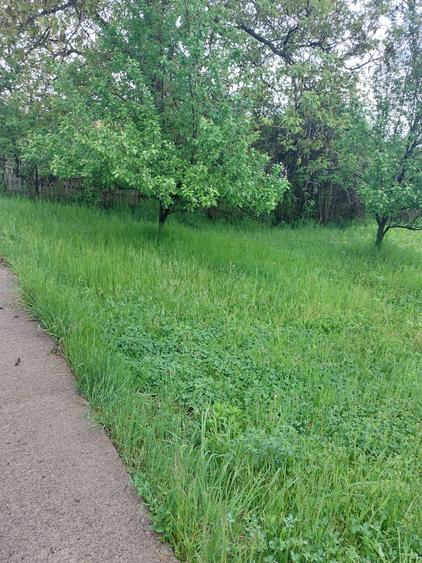 Doua terenuri intravilane in Comuna Teisani de vanzare