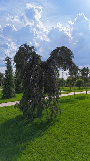 2 camere cu tot ce contează inclus: climatizare, încălzire în pardoseală