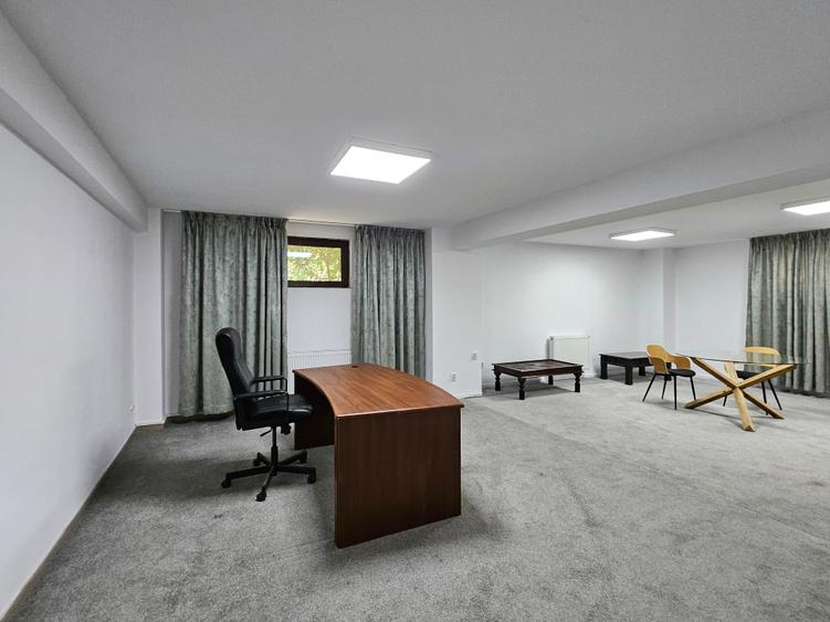 Spatii birou Grozavesti - Demisol, Parter si Etaj 1
