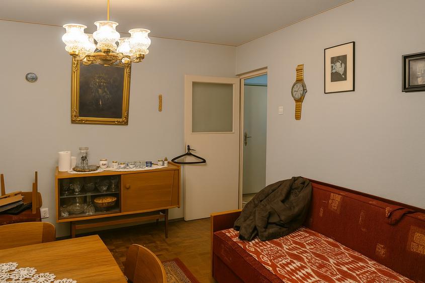 VANZARE AP 2 CAM SALA PALATULUI