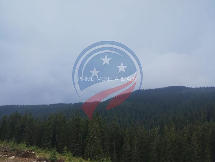 Teren de vanzare in Horezu/Pietrele Rosii/Valcea - 6