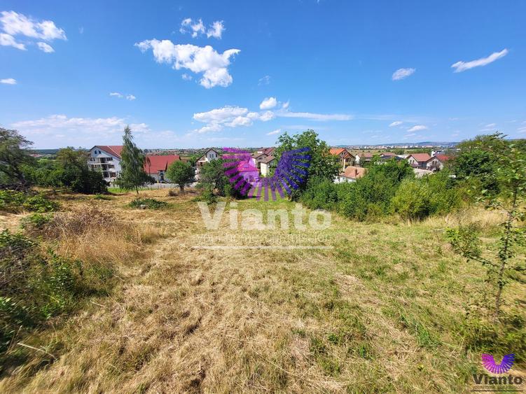 Teren Intravilan 546 mp | Panorama deosebita | PUZ in lucru
