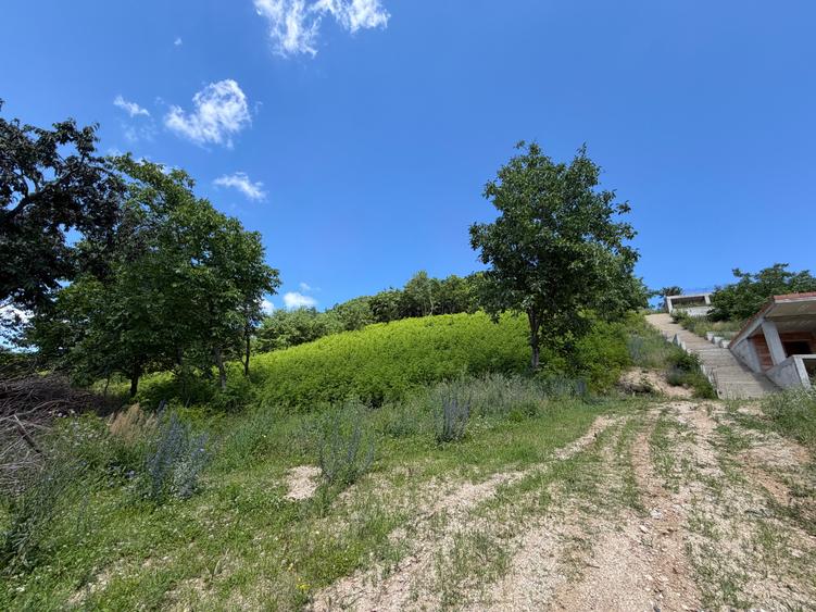 Teren intravilan 2.500 mp in Cisnadioara / jud. Sibiu