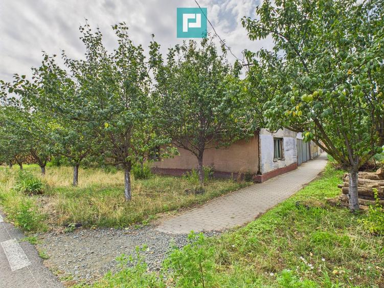 Teren de 1440 mp cu hală în Munar