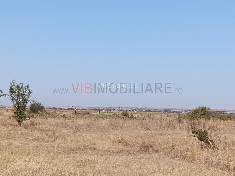 OPORTUNITATE DE INVESTIȚIE – PISCHIA, JUDEȚUL TIMIȘ - 6
