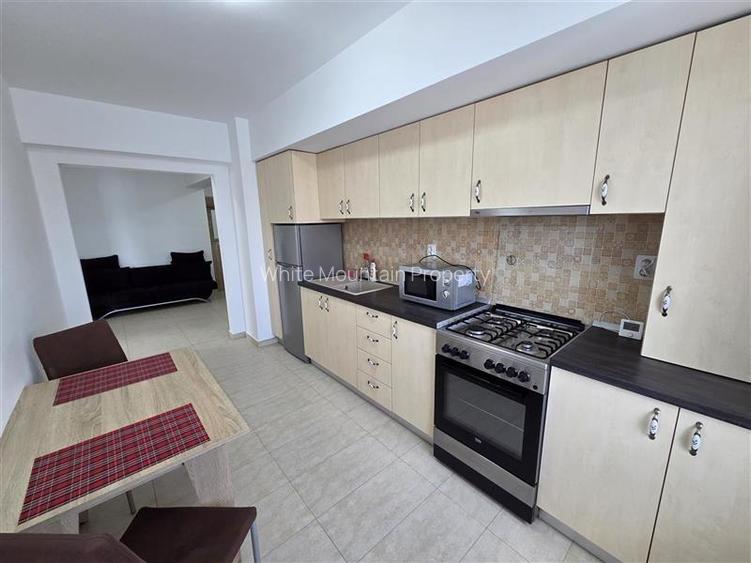 Apartament tip sudio cu parcare subterana si boxa Vasile Goldis - 23
