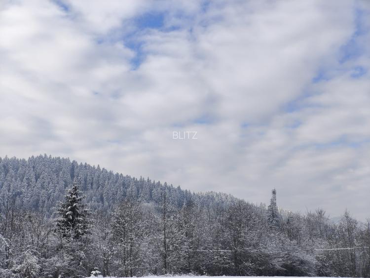 Teren intravilan, 22600mp, zona Manastirea Sucevita - 12