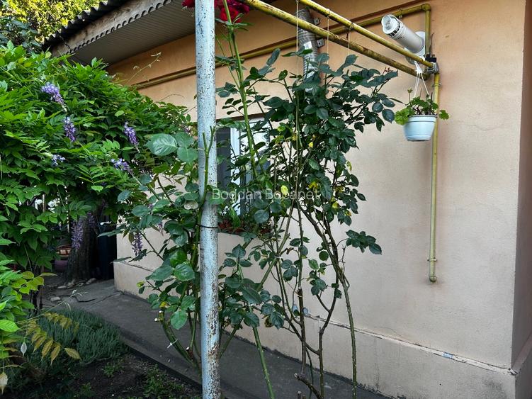 Casa de vanzare Lehliu Gara jud Calarasi - 10