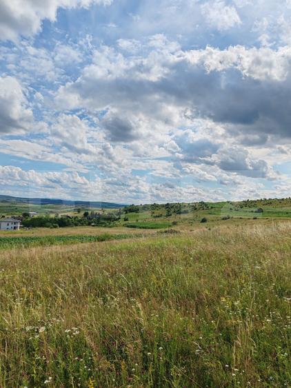 Teren intravilan ideal pentru casa, 4300 mp, Deusu - Chinteni