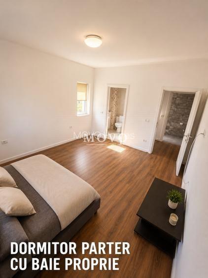 Casă P+M în Săcălaz | 6 camere | 3 băi | 213 mp construiți |