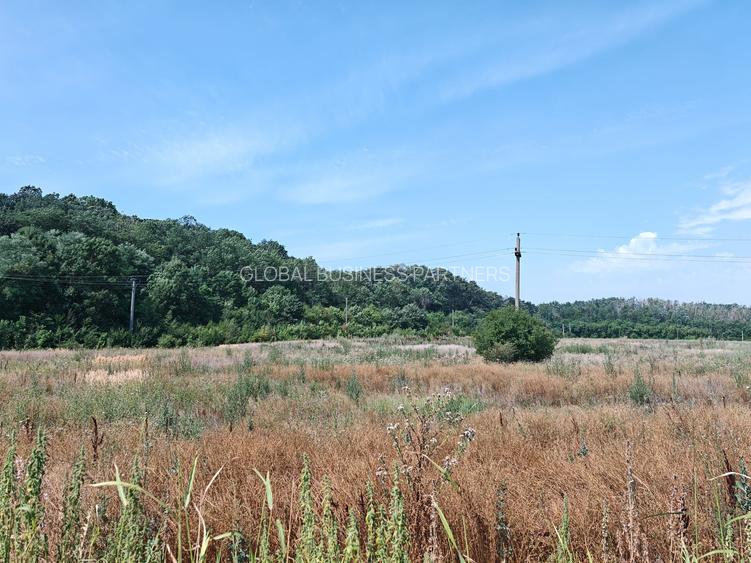 Teren Corbeanca – Balotești, 35.000 mp, lângă pădure și nodul rutier A0. - 4