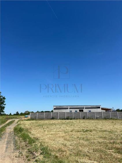 Teren- MOSNITA NOUA- DOUA FRONTURI STRADALE