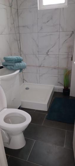 Apartament cu 2 camere mobilat si utilat- zona Balcescu