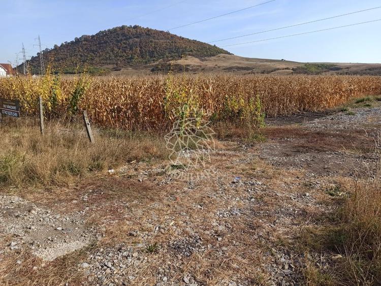 Parcele intre 770 mp si 4606 mp-ideal investitie-Sarata