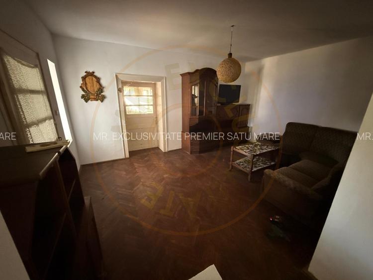 Casa de vânzare in Livada , Satu Mare - 11