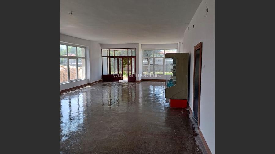 Spațiu comercial de inchiriat, la drum principal, localitatea Daia - 9