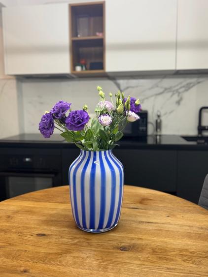 Apartament 2 dormitoare Aleea Cornisa UMF